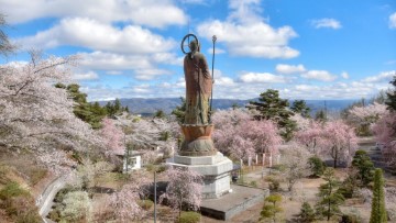 浅間しゃくなげ公園